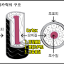 모피질, 콜텍스와 간충물질