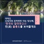 [뉴뉴자적 3편] 아직도 오징어와 호박엿만 아는 당신께, '한국의 갈라파고스' 찐(眞) 울릉도를 보여줄게요