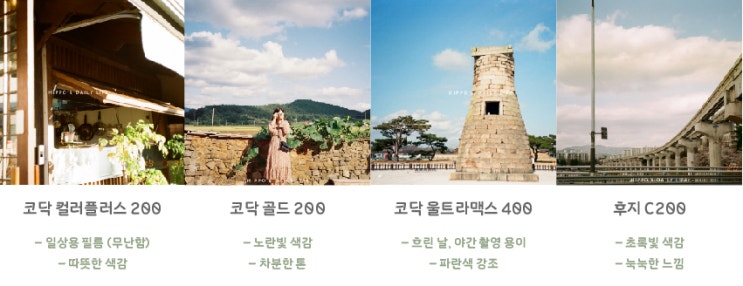 [필름카메라] 코닥/후지 필름별 색감 비교(4종) & Iso 감도 개념 (초보자 필독) : 네이버 블로그