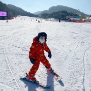 5살첫스키 :: 용평리조트에서 스키배우기 / 5살 남자아이 스키배우기/ 스키입문하기