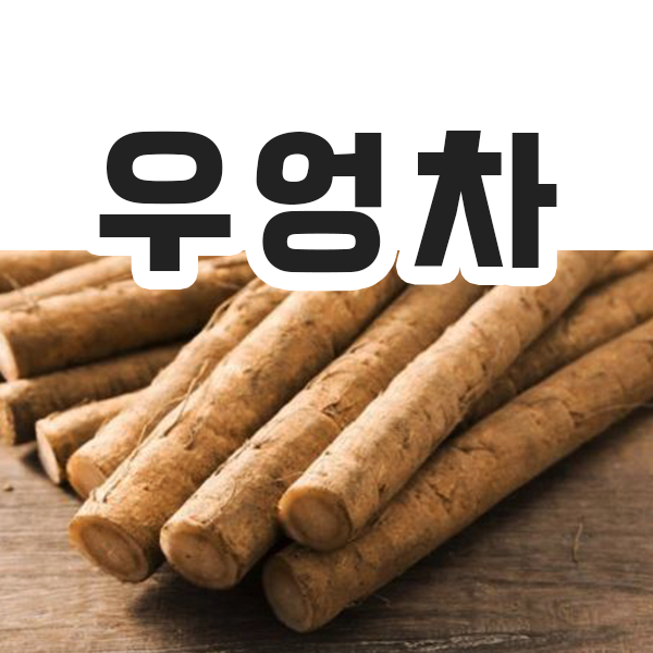 우엉차 효능, 부작용 알고 마시자 : 네이버 블로그