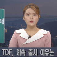 삼성 한국형 TDF 2050 퇴직연금 포트폴리오