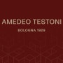 AMEDEO TESTONI w. New Logo