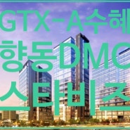 GTX-A수혜 향동DMC스타비즈 섹션오피스 투자 정보