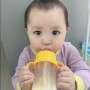 [용션/생후366일] 돌 아기 생우유 처음 맛본 날