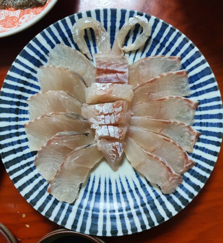 제주 넙치농어 갯바위 루어낚시 ~ 넙치농어 특징 알아보기!! 자연산 최고급 횟거리 넙농 농어회 제라지게 먹는 방법 공유 ...