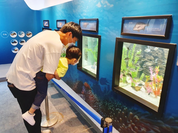 부산 실내 아이와 가볼만한곳 :: 부산 강서구 명지 수산자원연구소 &....