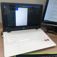 LG전자 울트라PC 15UD490-GX56K 사무 업무용 노트북 추천 구매후기