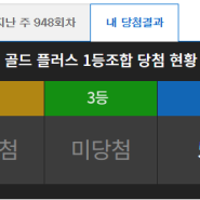 내돈 내산 로또팟 후기