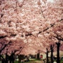 [기타연주] 로이킴 - 봄봄봄