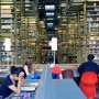 물류창고형 "메가도서관" 멕시코 부에나비스타 여행정보