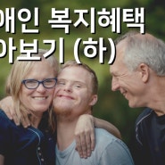 장애인 혜택 알아봐요! 下 (중증장애인혜택/경증장애인혜택/장애인복지)