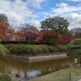 2019 일본 교토여행 교토 도지(東寺) 라이트업도 못보고 왔는데...