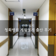 [산후 일기] 청화병원 제왕절개 출산후기
