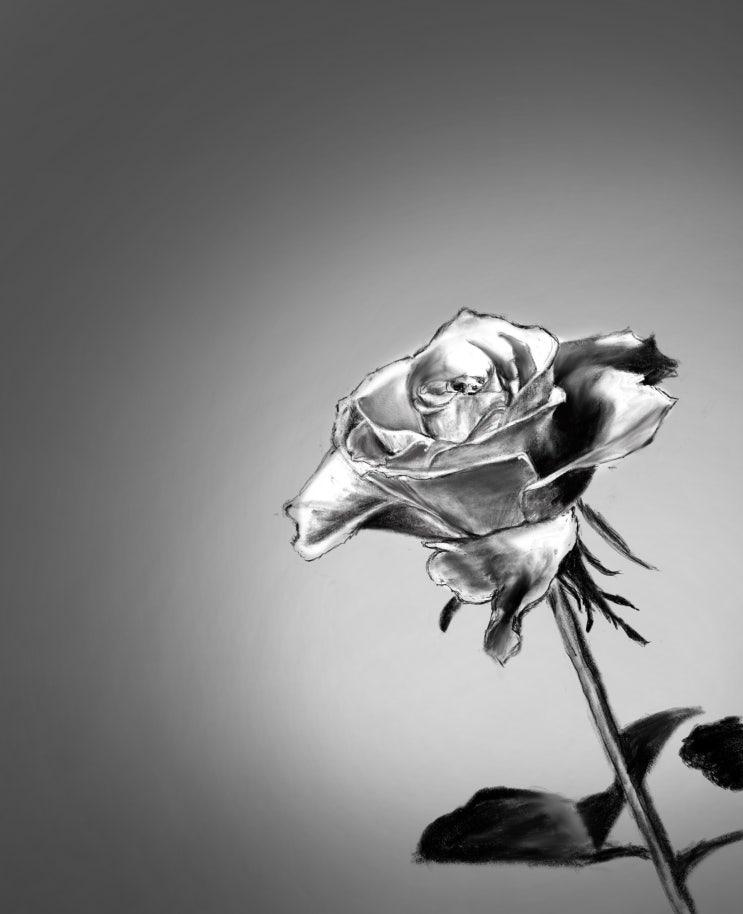 MSB Premier headphone amp. : 네이버 블로그