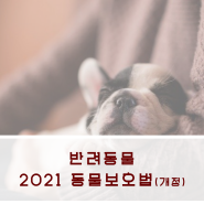 반려동물) 2021년 2월 12일부터 시행되는 동물보호법