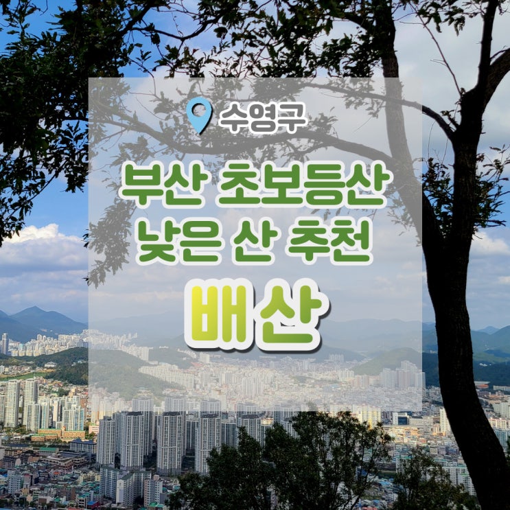 배산 등산 (부산 낮은산 추천) : 네이버 블로그