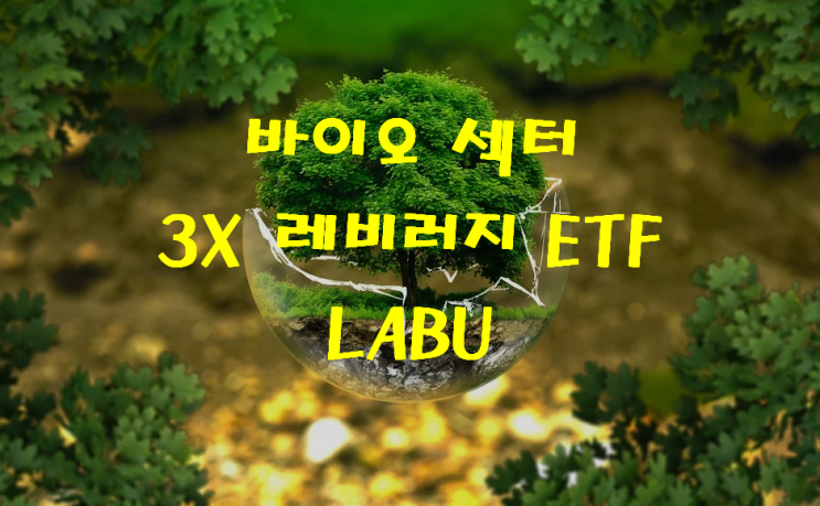 무한 매수 3번째 종목 추가 바이오 섹터 3X 레버리지 ETF LABU~! : 네이버 블로그