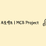 [방송] MBC 뉴스데스크에 소개된 목철봉 프로젝트의 '서울에 집 사고 싶어'