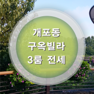 [거래완료]국악중/국악고 근처 개포동(구 포이동) 남향, 전용넓은 쓰리룸(방3+화2)빌라 전세 - 홍인부동산