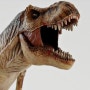 가장 인기많은 공룡은 어떤 공룡일까?