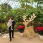 서울식물원 오전시간 아기랑 가기 좋은 곳