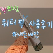 [UK Life] 내돈내산 후기 : 한국에서 요즘 핫한 '워터픽' 나도 써봤다!