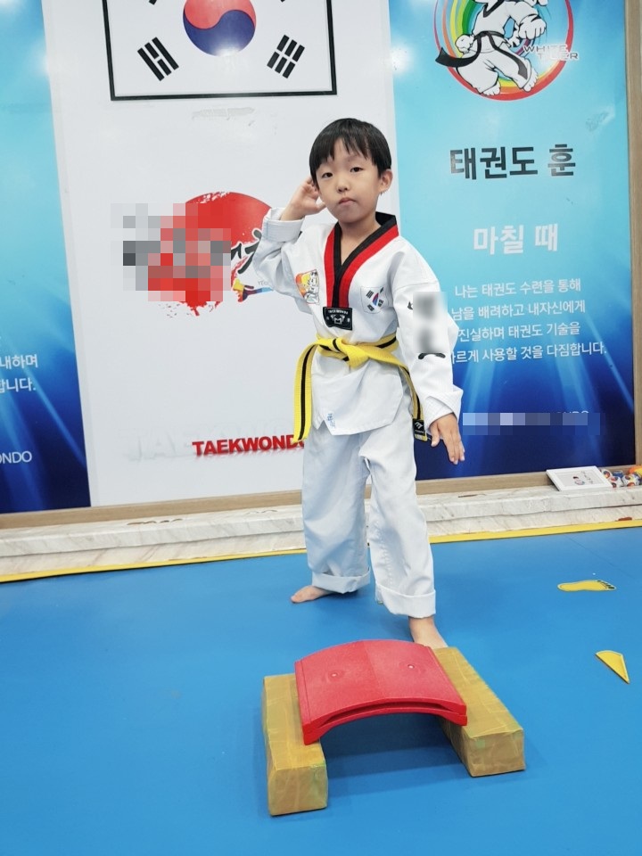 태권도 품띠 국기원 심사 단증까지 : 네이버 블로그
