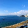 [YDT] 부산이야기. Stay in Busan.