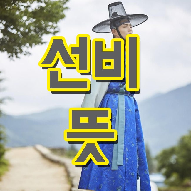 선비 뜻 정확하게 알려드릴께요 : 네이버 블로그