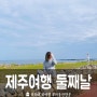 [2박3일 제주여행2] 제주 김만복, 유채꽃밭, 커피 박물관 바움 커피, 빛의 벙커, 광치기 해변, 필팡이