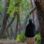 안동 부산 그리고 경주에서의 가을여행 ⑥ 유명한 남산의 소나무숲 , 경주 삼릉숲길을 걷다