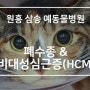 [원흥 삼송 창릉 향동 도래울 도내동 예동물병원] 고양이 폐수종, 고양이 비대성심근증, 고양이 심근비대증, Feline Hypertrophic Cardiomyopathy(HCM)