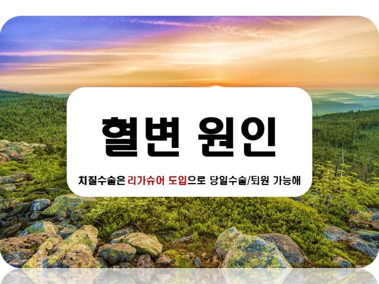 피똥싸는 이유, 겁내지 말고 원인 찾아 쉽게 치료해요 : 네이버 블로그