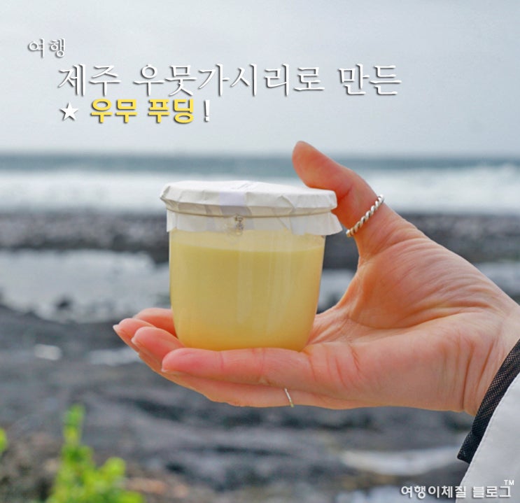 제주 우무 푸딩 우뭇가사리로 만든 디저트 : 네이버 블로그