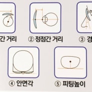 안경을 바꿨는데 적응이 안돼요. 원인 모를 안경 불편. 안경을 바꾸면서 생길 수 있는 적응 문제. 똑같은 도수로 테만 바꿨는데 왜 그럴까?