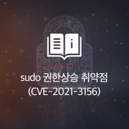 [Research & Technique] Sudo 권한상승 취약점 (CVE-2021-3156)