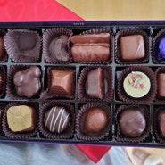 초콜릿 설명서가 들어있는 캐나다 초콜릿티어 "퍼디스" 선물로 좋아요