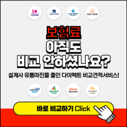 kb손해보험 자동차보험