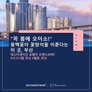 [뉴뉴자적 4편] "꼭 봄에 오이소!" 동백꽃이 꽃방석을 이룬다는 이 곳, 부산