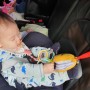 9개월아기 카시트 잘 타는 방법 :: 유모차 장난감 외출필수템 / 블루래빗 아이큐베이비
