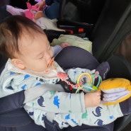 9개월아기 카시트 잘 타는 방법 :: 유모차 장난감 외출필수템 / 블루래빗 아이큐베이비
