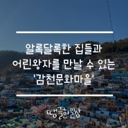 부산 감천문화마을과 오륙도 해맞이공원!