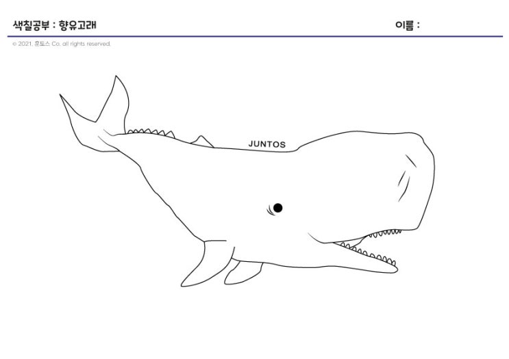 고래상어 색칠하기놀이