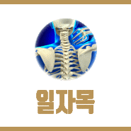 일자목으로 인해 목통증과 어깨통증이 생겼다면 역삼동도수치료 웰가신경외과에서 일자목도수치료 받으세요!