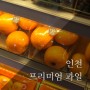 인천 과일바구니 : 프리미엄 인천 과일 자연을담은과일 (feat. 딸기, 애플 청포도)