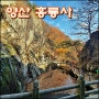 양산 홍룡사 홍룡폭포 ~ 가벼운 산책 1시간