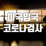 미국 입국 코로나 검사 의무화와 입국자 자가격리 (feat. 복직신고)