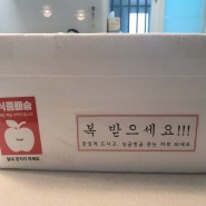 경북 구미 맛집 싱글벙글복어 밀키트/복매운탕 밀키트