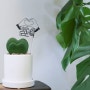 하트 호야 케리 키우기, 화이트데이 식물 선물 센스 있는 선물, 관리법 반려 식물 선물